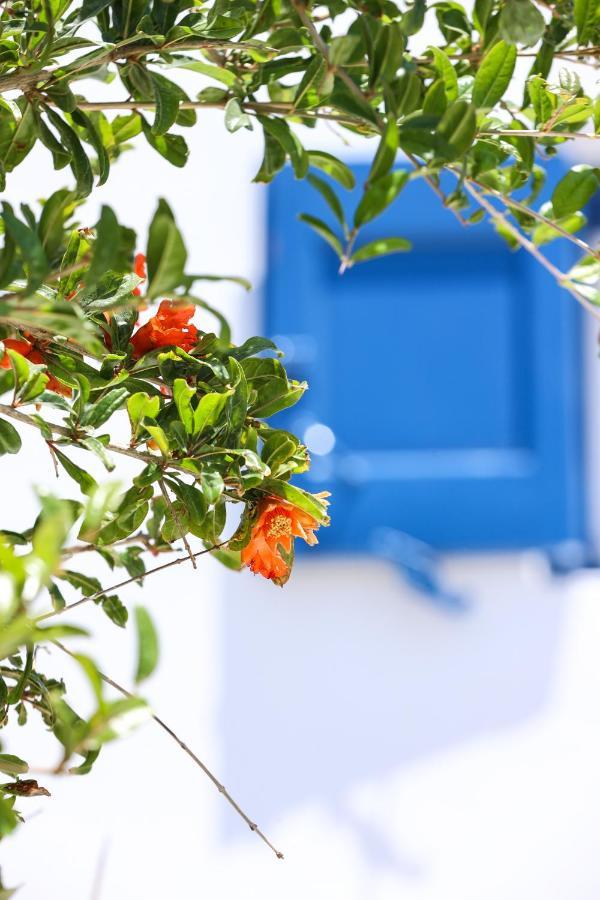 Mykonos Town Mykonos In White 빌라 외부 사진